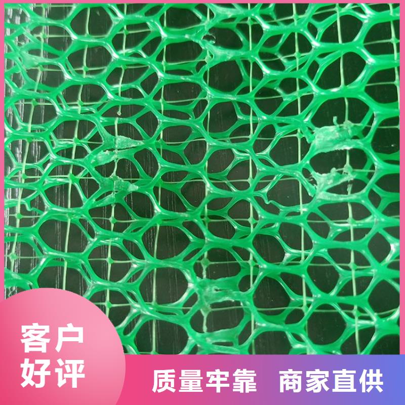 EM4三维固土网垫-EM3三维土工网垫