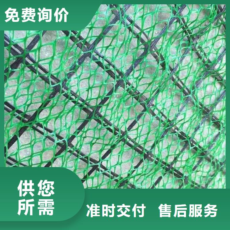 三维植被网【生态带】实拍展现