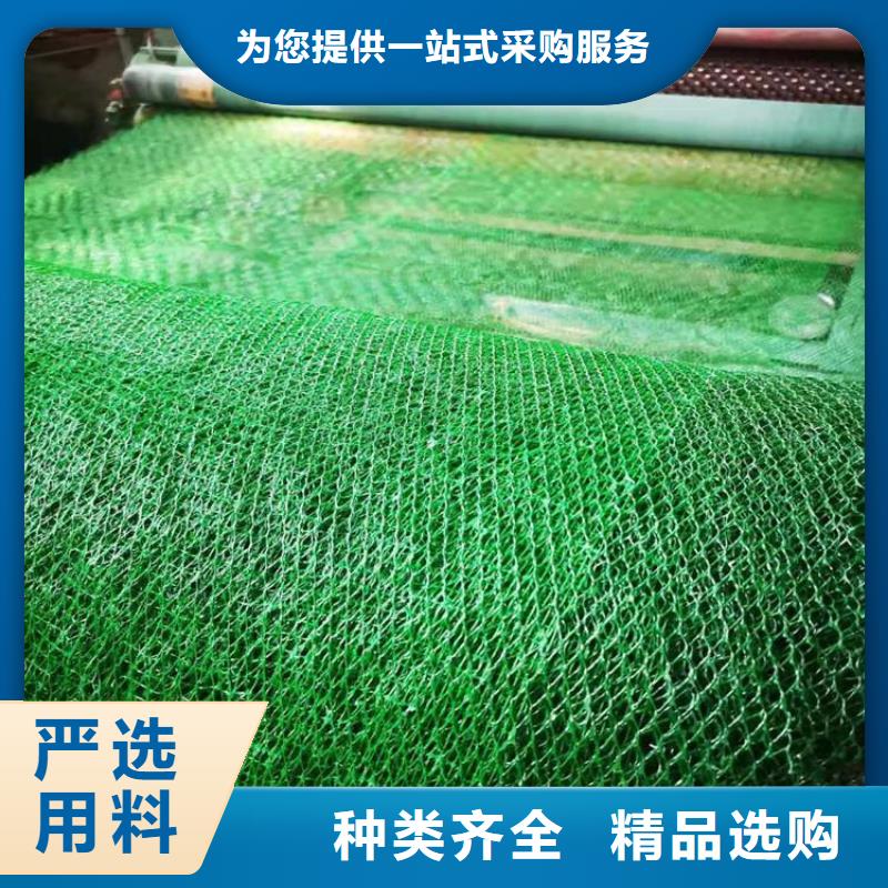 固土边坡三维固土网垫