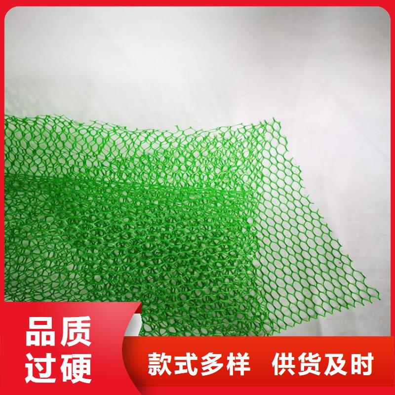 EM4三维固土网垫-EM3三维土工网垫