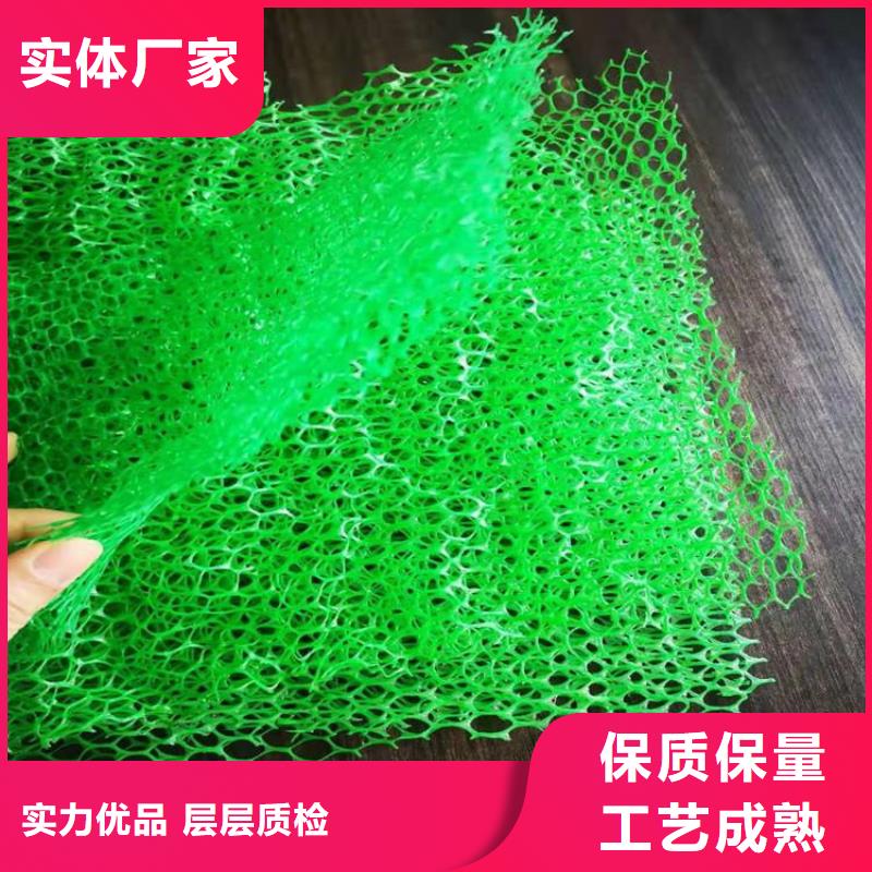 三维植被网-三维加筋网垫