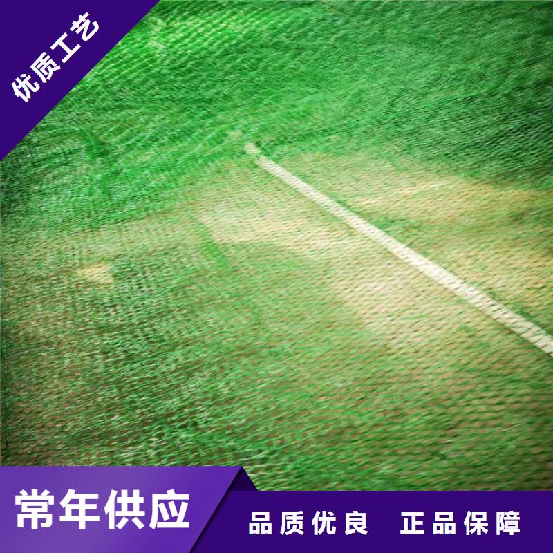 三维土工网垫-三维护坡网垫