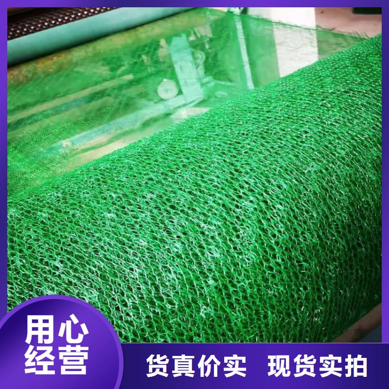 三维植被网-三维加筋网垫