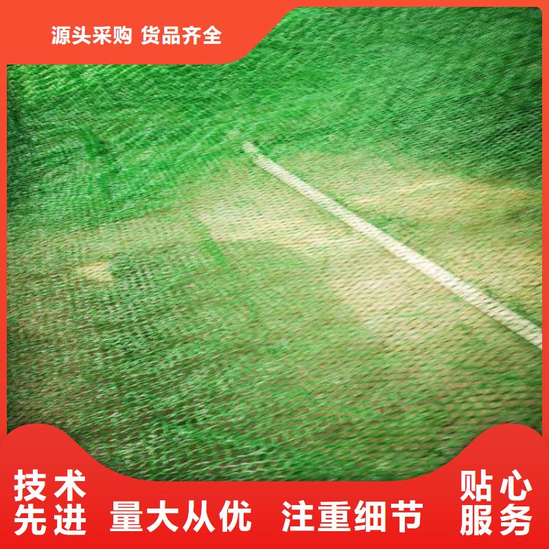 三维植被网【生态带】实拍展现