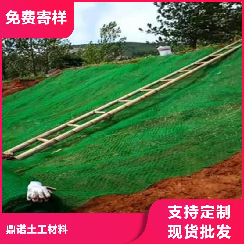 三维土工网垫-EM4三维护坡植草网垫