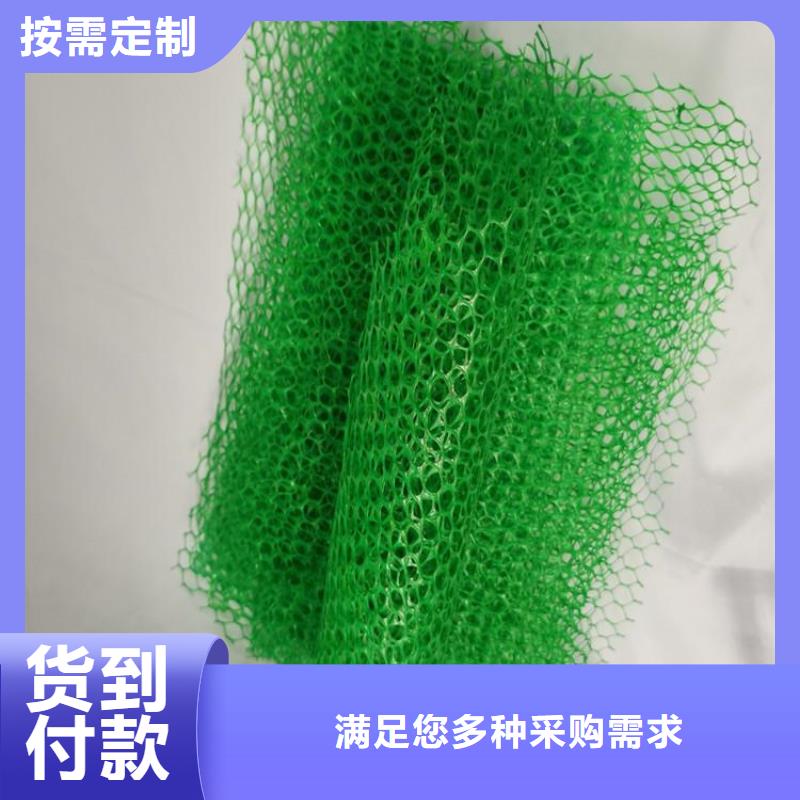 三维土工网垫-EM4三维固土网垫