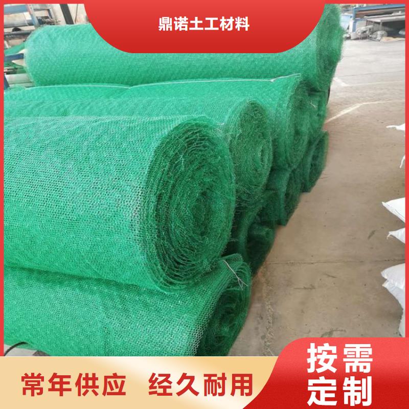三维土工网垫-EM4三维护坡植草网垫