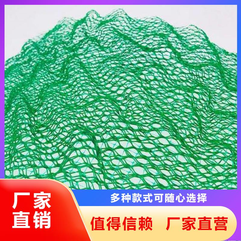 EM4三维固土网垫-EM3三维土工网垫