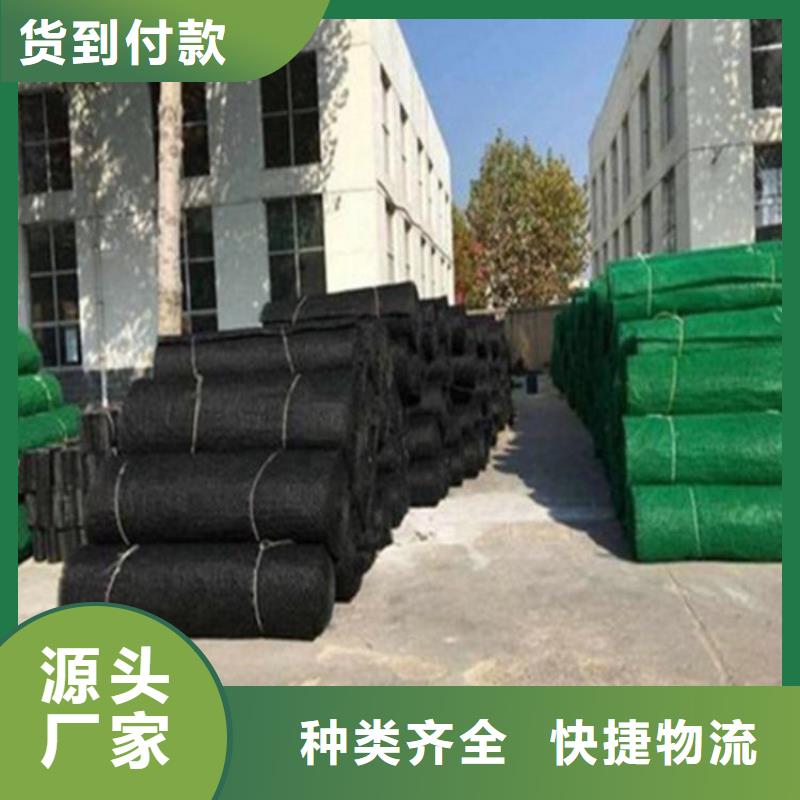 三维植被网【生态带】实拍展现