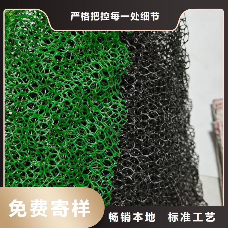 EM5三维加筋网垫厂家批发