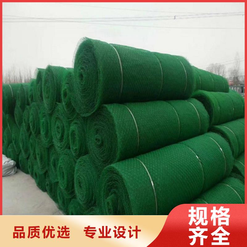 三维土工网垫-EM4三维固土网垫