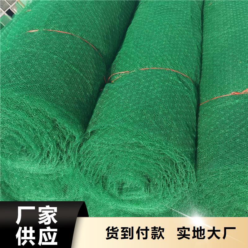 EM5三维加筋网垫厂家批发