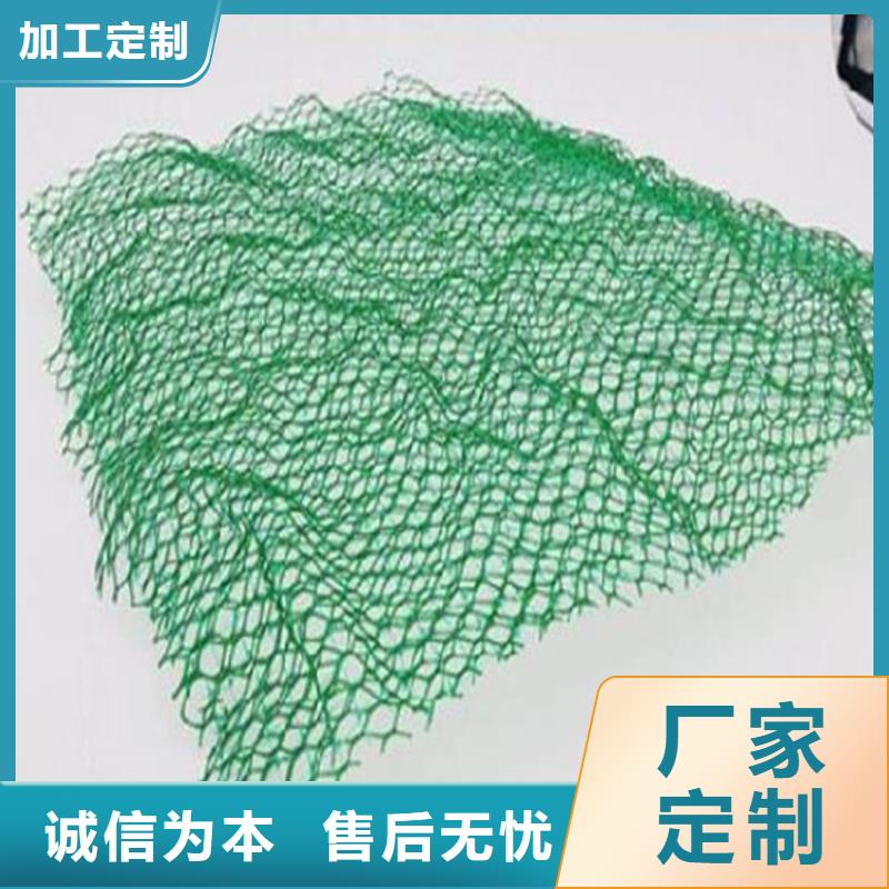 三维土工网垫-三维护坡网垫