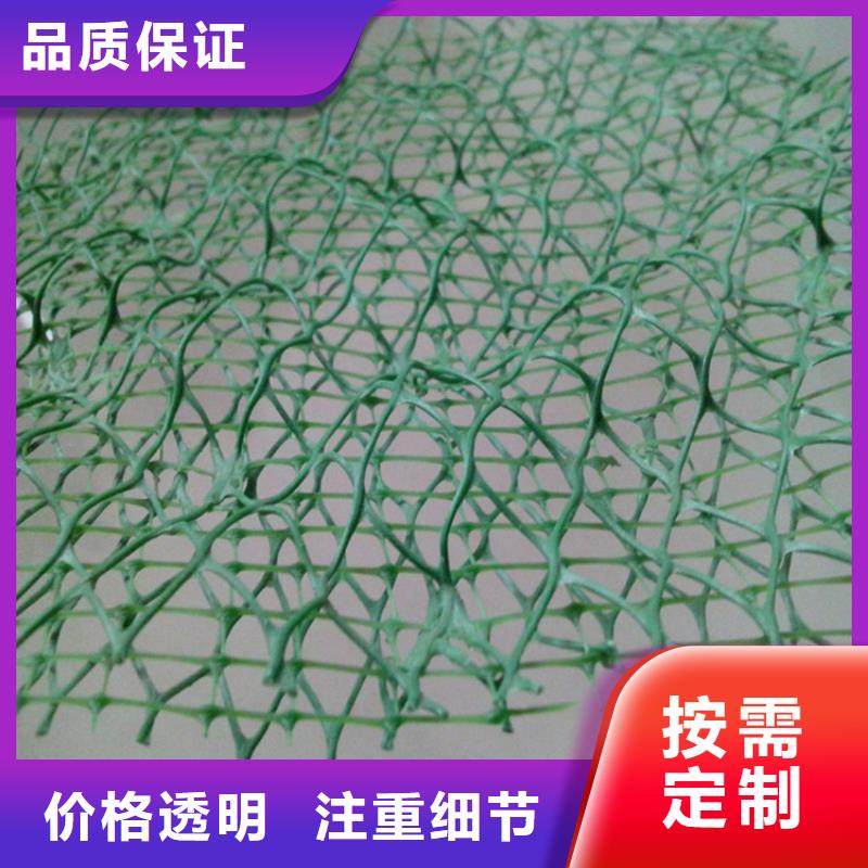 三维土工网垫-EM4三维护坡植草网垫