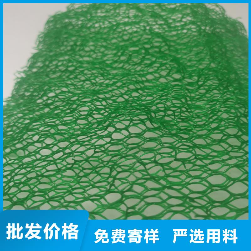 三维植被网【生态带】实拍展现
