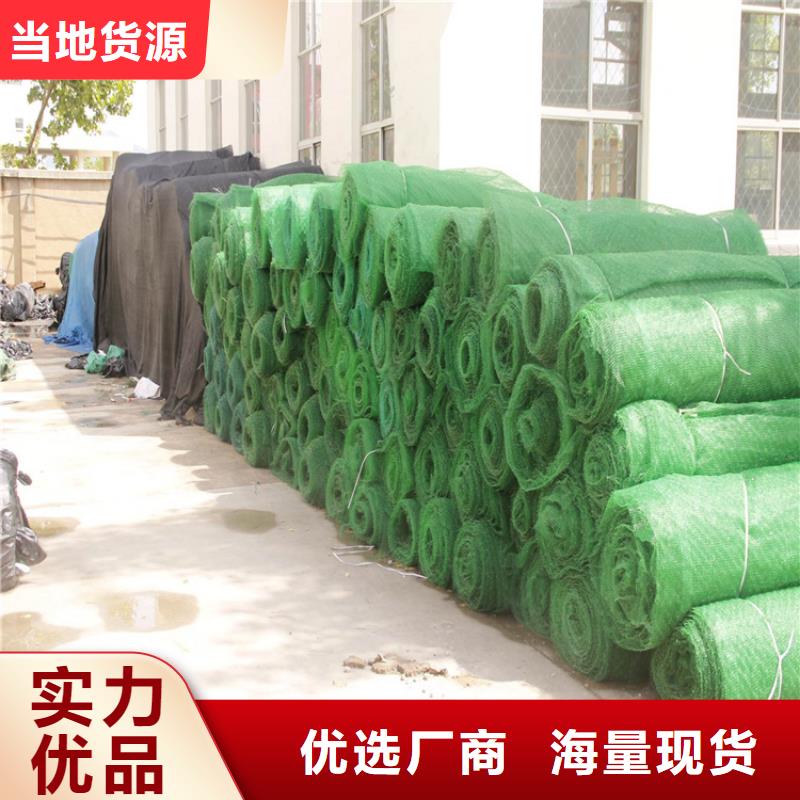 三维土工网垫-EM4三维护坡植草网垫