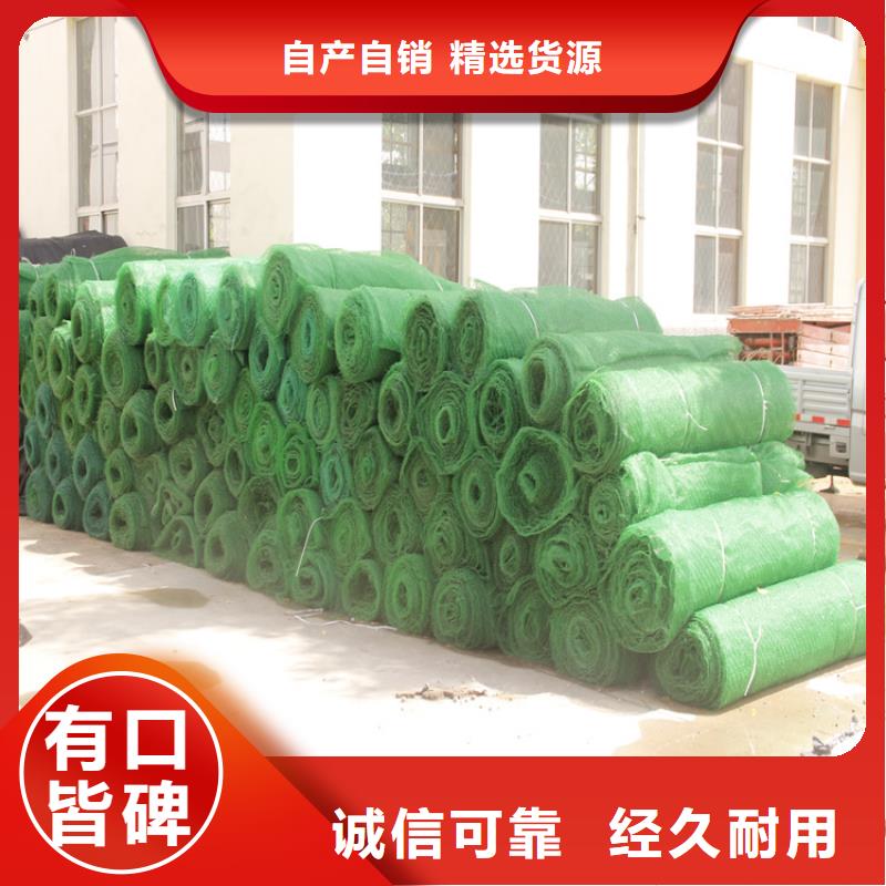 三维土工网垫-EM4三维护坡植草网垫