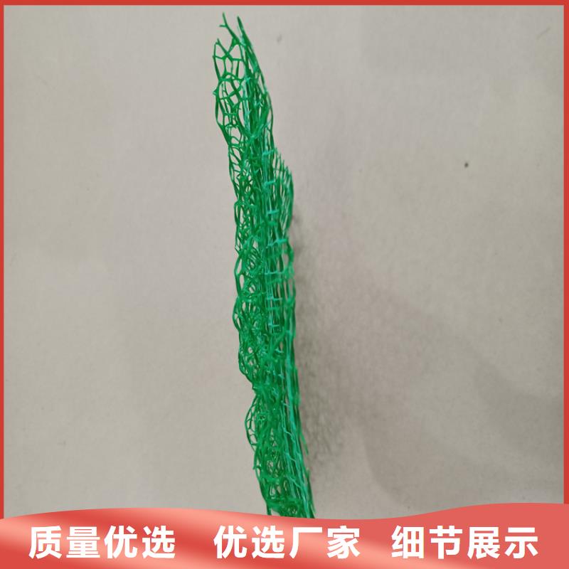 固土边坡三维固土网垫