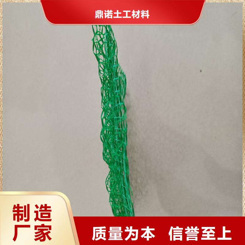 三维土工网垫-EM4三维护坡植草网垫