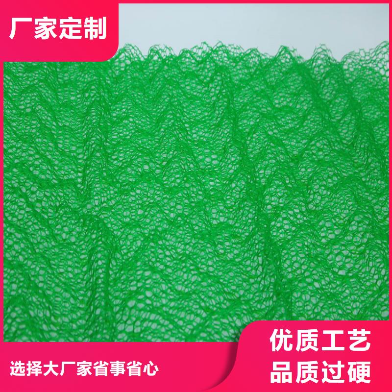 三维土工网垫-EM4三维护坡植草网垫