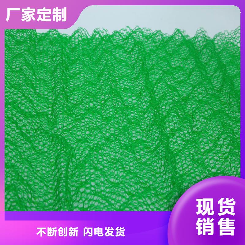 固土边坡三维固土网垫