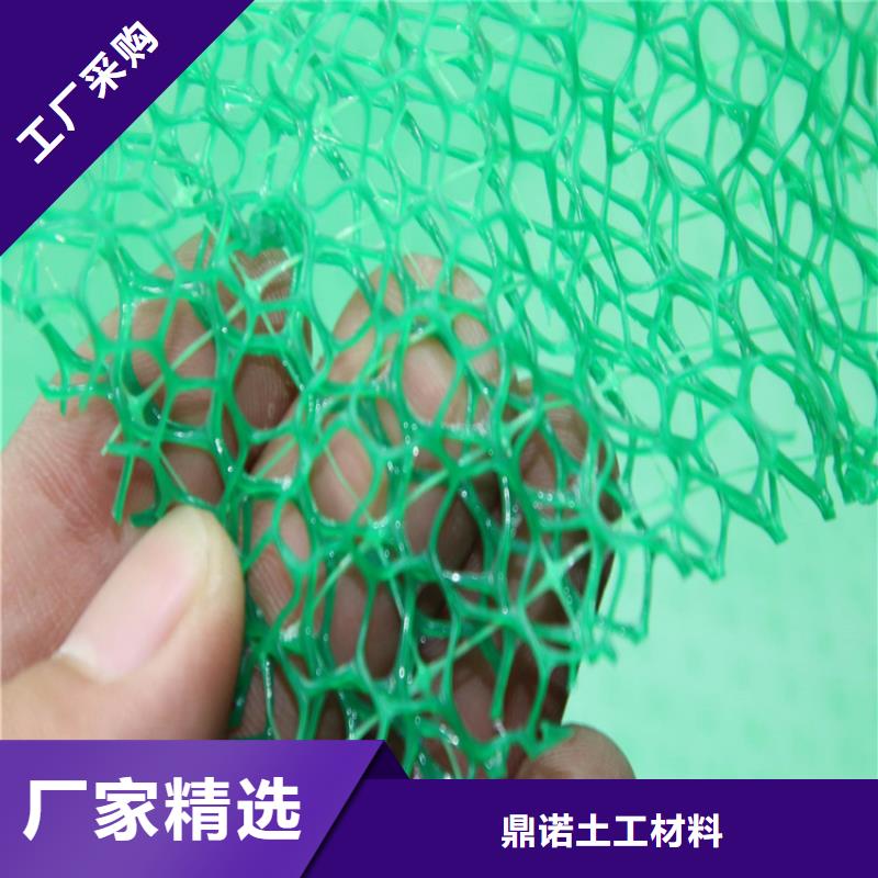 三维土工网垫-EM4三维护坡植草网垫