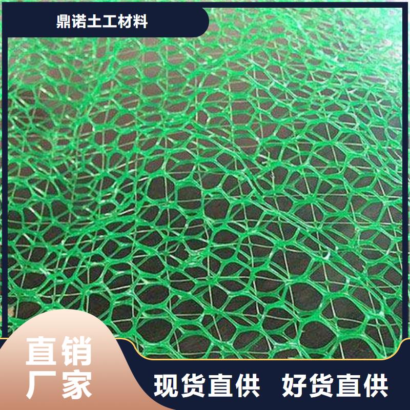 三维土工网垫-EM4三维护坡植草网垫