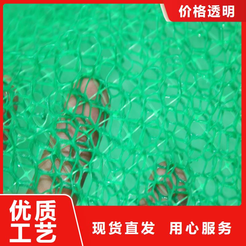 三维土工网垫-EM4三维护坡植草网垫