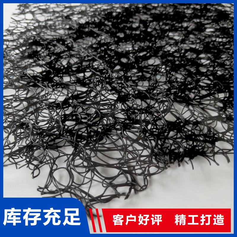 通风降噪丝网双向塑料土工格栅好货直供