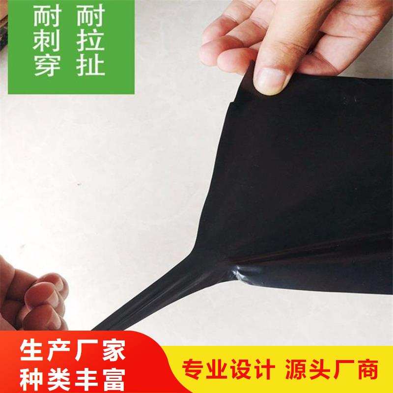 HDPE土工膜-养猪场黑膜防渗膜