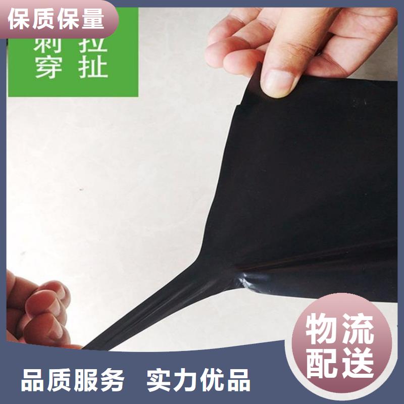 一布一膜复合土工膜