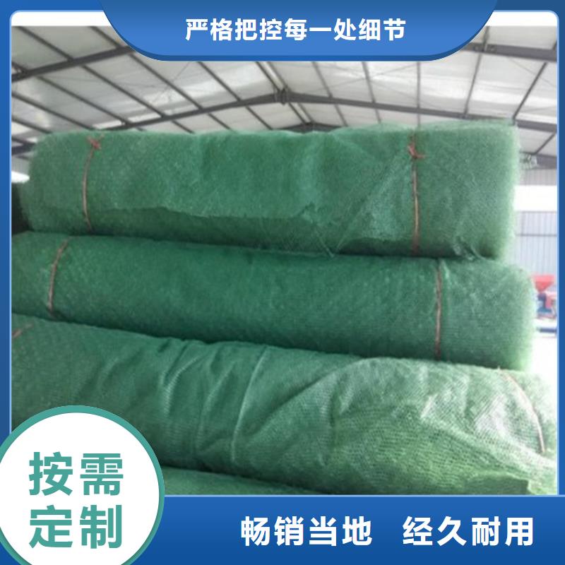三维固土网垫-三维土工网垫