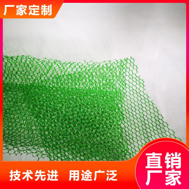 三维固土网垫-三维土工网垫