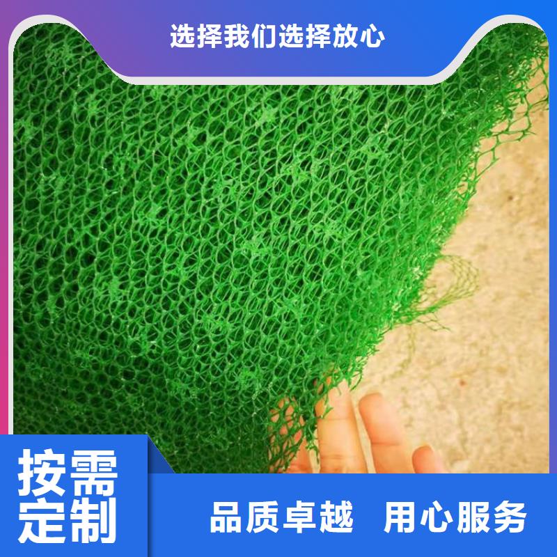 三维固土网垫-三维土工网垫