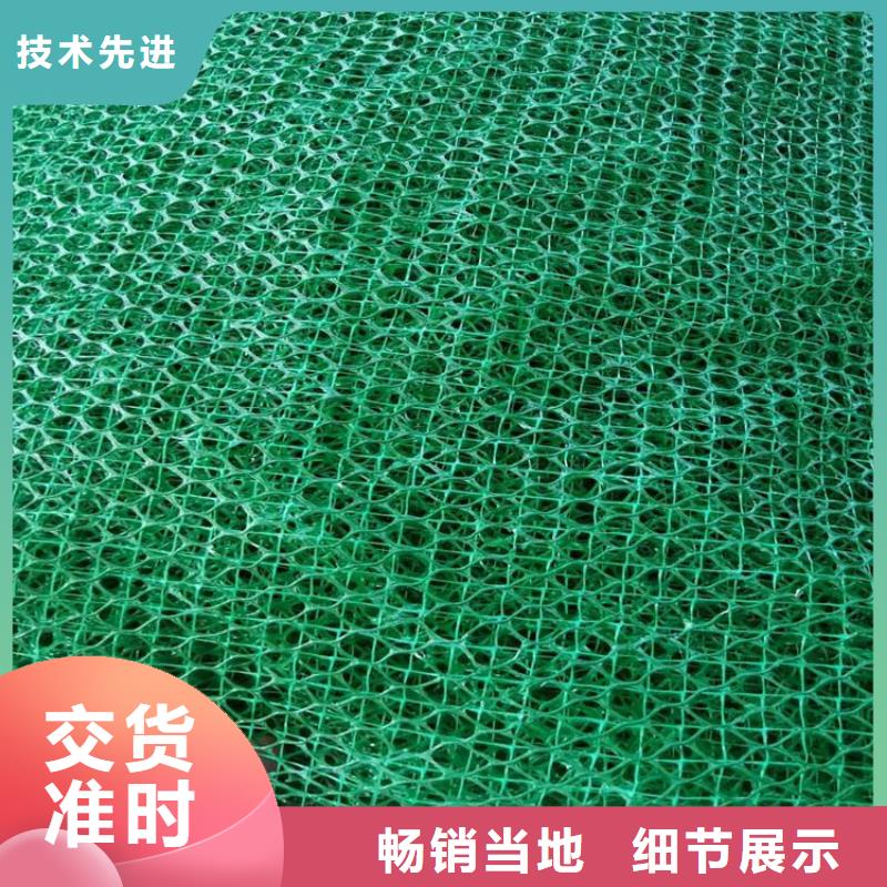 三维固土网垫-三维土工网垫