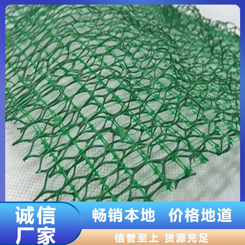 三维固土网垫-三维土工网垫