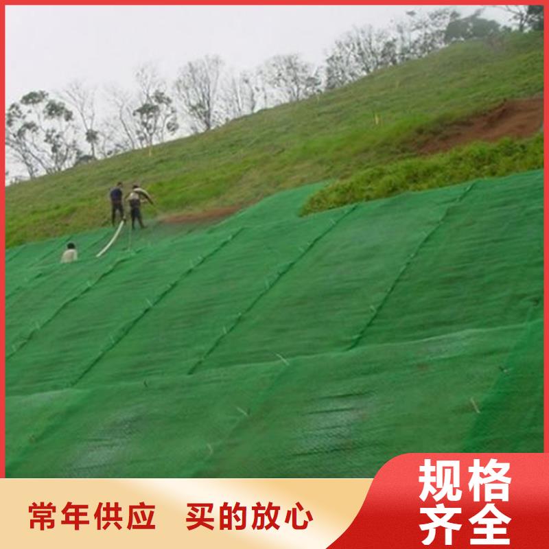 三维植被网HDPE土工膜出厂严格质检