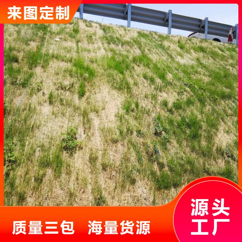 护坡植被植草毯-加筋复合生态草毯