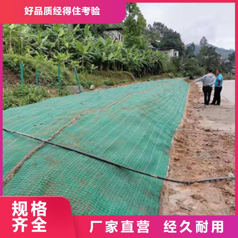 植物生态防护毯-加筋抗冲生物毯-椰丝固土毯