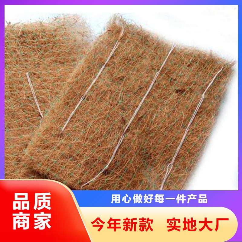 护坡植被植草毯-加筋复合生态草毯