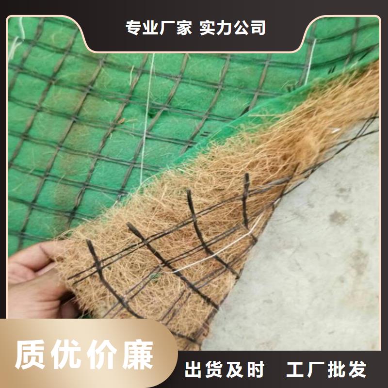 植物生态防护毯-加筋抗冲生物毯-椰丝固土毯