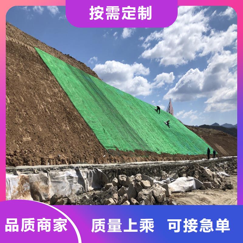 椰纤植生毯-生态草毯-加筋复合椰丝毯