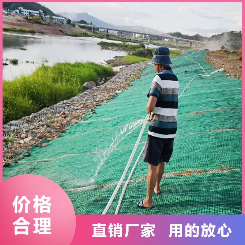 植物生态防护毯