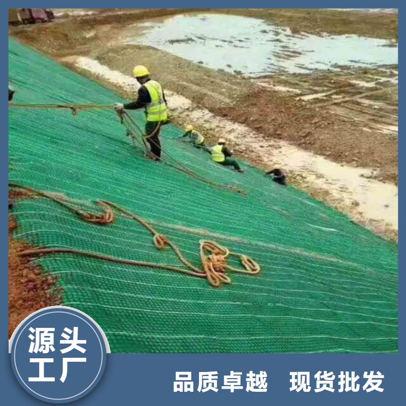 护坡植被植草毯-加筋复合生态草毯