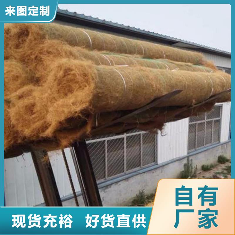 护坡植被植草毯-加筋复合生态草毯