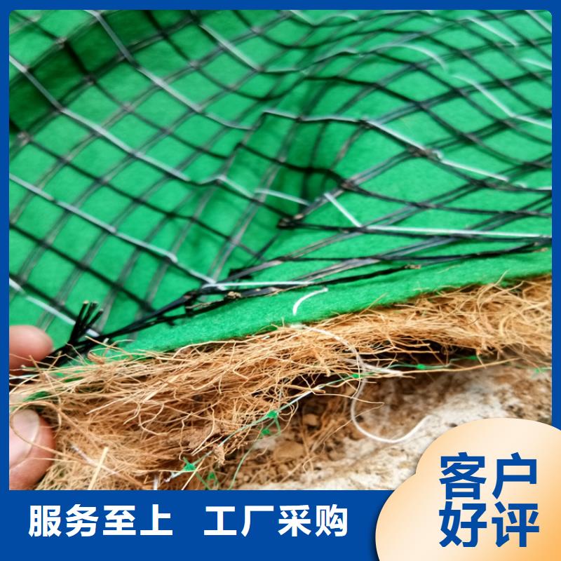 植物生态防护毯-加筋抗冲生物毯-椰丝固土毯