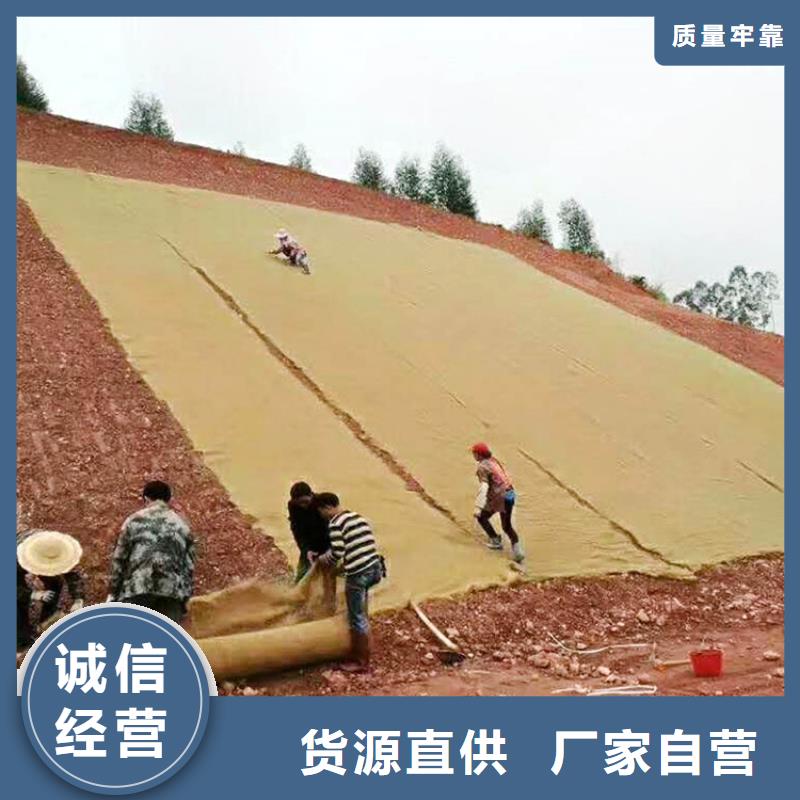 植物生态防护毯-加筋抗冲生物毯-椰丝固土毯