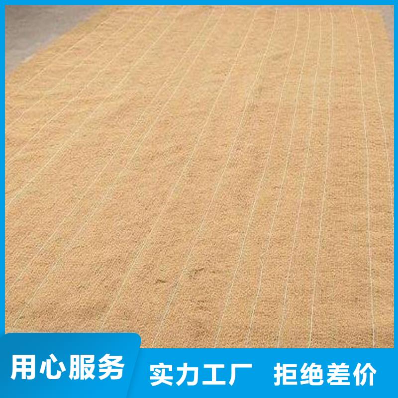 植物生态防护毯-加筋抗冲生物毯-椰丝固土毯