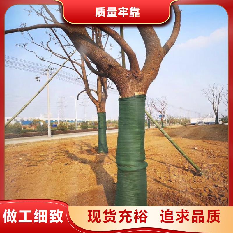 裹树布_土工布厂家货源