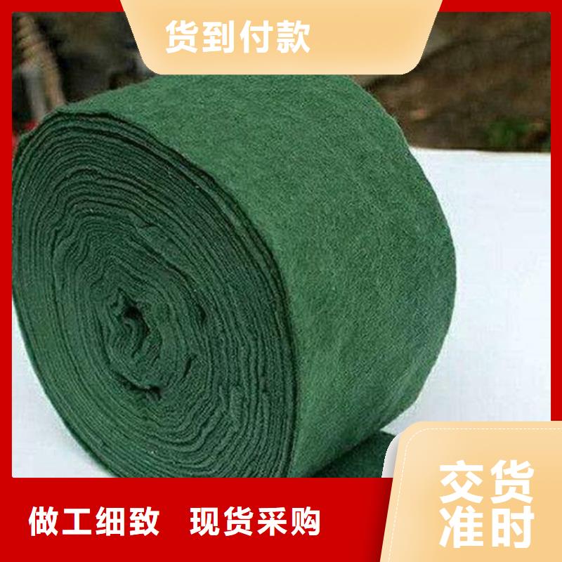 裹树布_土工布厂家货源